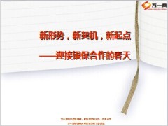 银行保险巡点模式操作手册31页.ppt