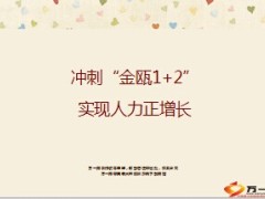 精准增员项目介绍优势特点实操39页.ppt