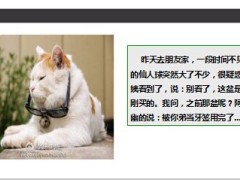 每日快乐早会14年6月19日使用14页.ppt