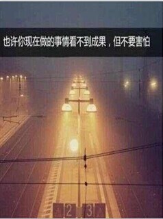 有一种毛竹厚积薄发20页.ppt