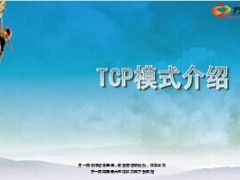 银保TCP模式项目介绍背景公司支持36页.ppt