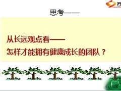续期队伍现状营销服务理念具体举措30页.ppt
