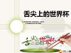 舌尖上的世界杯12页.ppt