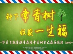 华夏常青树重大疾病保险2014介绍12页.ppt