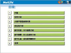 中美大都会大客户增值服务培训整体介绍11页.ppt