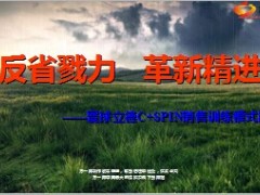 银保SPIN销售训练模式简介27页.ppt
