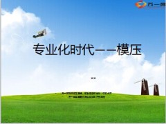 专业化时代模压式训练11页.ppt