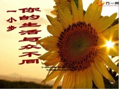 积分兑兑碰小说会操作分享38页.ppt