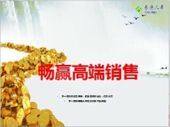 泰康人寿畅赢人生高端销售51页.ppt