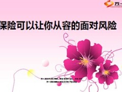 简版保险可以让你从容的面对风险9页.ppt