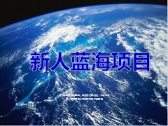 新人蓝海项目运作思路实施细则工作要求50页.ppt