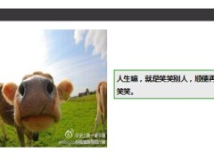每日快乐早会14年7月3日使用14页.ppt
