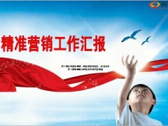 精准营销运作工作汇报35页.ppt