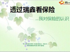 透过中国人寿瑞鑫看保险20页.ppt