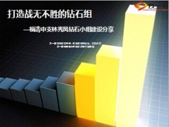 福清中支林秀凤钻石小组团队建设分享13页.ppt