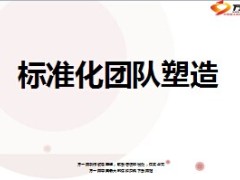 标准化团队塑造从指标看标建55页.ppt