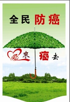 中国人寿防癌险彩页计划书.rar
