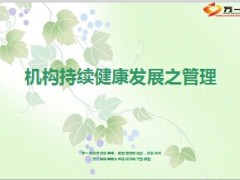 机构持续健康发展之管理14页.ppt