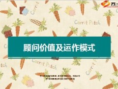 顾问聘任系统价值及运作模式28页.ppt