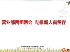 营业部两组两会助推新人高留存28页.ppt
