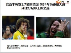 巴西惨败世界杯黑天鹅事件保险意义19页.ppt