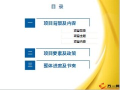 大型客户经营项目方案内容政策进度节奏17页.ppt