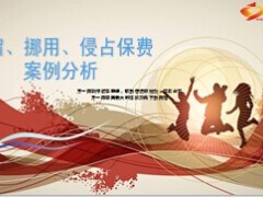 截留挪用侵占保费案例分析21页.ppt