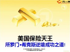 美国保险天王所罗门希克斯逆境成功之道11页.ppt