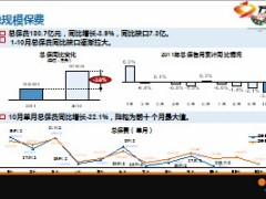 某省寿险市场分析报告模板区域市场分析29页.ppt