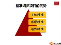 精准项目核心理念特点优势6页.ppt