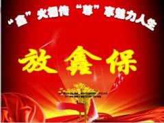 国寿放鑫保保险五大亮点24页.ppt