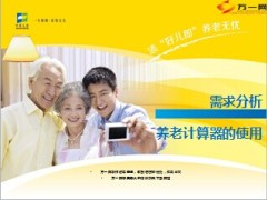 需求分析养老计算器的使用10页.ppt