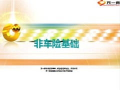 财产非车保险基础国寿版24页.ppt