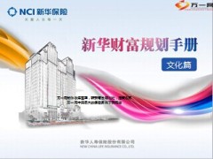 新华文化怎么做财富规划手册19页.ppt