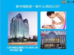 新华保险是一家什么样的公司16页.ppt