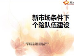 营业部经营哲学个险队伍建设45页.ppt