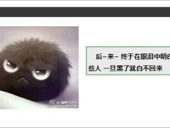 每日快乐早会14年7月26日使用14页.ppt
