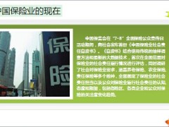 十维度认识中国保险业现在未来10页.ppt