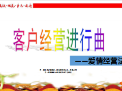 爱情经营法则客户经验进行曲15页.ppt