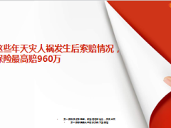 盘点天灾人祸索赔个人保险最高赔960万7页.ppt
