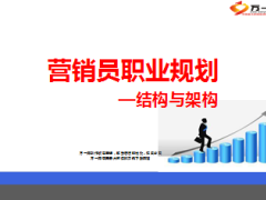 营销员职业规划结构与架构新华基本法27页.ppt