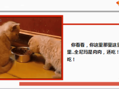 每日快乐早会14年8月2日使用14页.ppt
