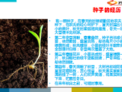 老客户加保意义不同时期的理财规划23页.ppt