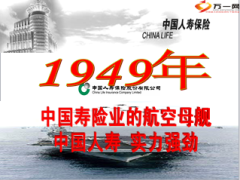 2014版中国人寿公司介绍13页.ppt