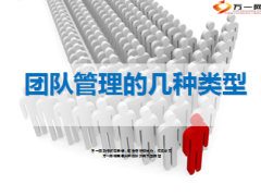 团队管理的几种类型28页.ppt