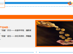 国寿鸿福稳盈年金保险介绍12页.ppt