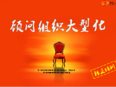 转正培训顾问组织大型化37页.ppt
