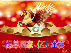 保单回家分享会思路运作方式27页.ppt