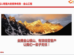 积分兑换金山工程保单检视卡宣导17页.ppt