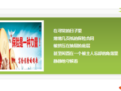 写给你的颂歌保险就是一种力量17页.ppt
